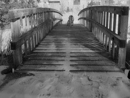 morgan on bridge