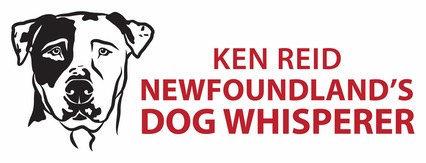 NDW-Logo300