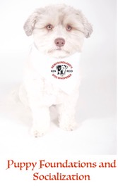 puppy obedience